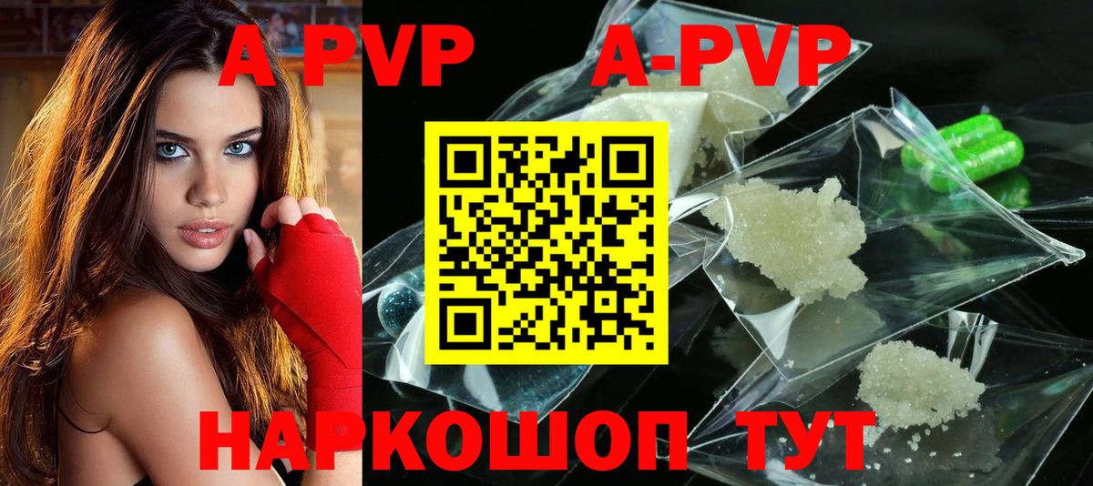 Alfa_PVP СК КРИС Новозыбков
