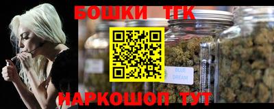 индика Вязьма