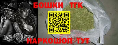 индика Вязьма