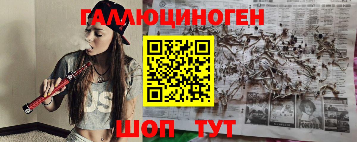 Псилоцибиновые грибы Magic Shrooms  Вход с VPN  Новозыбков 