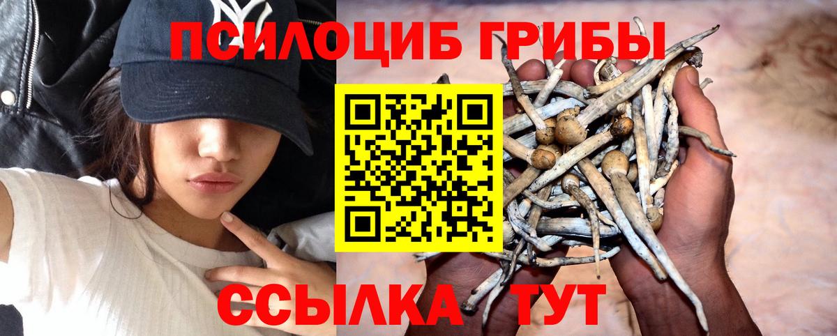 Псилоцибиновые грибы прущие грибы Новозыбков